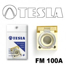 FM 100А предохранитель TESLA, MAIN (battery clamp)