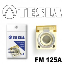 FM 125А предохранитель TESLA, MAIN (battery clamp)