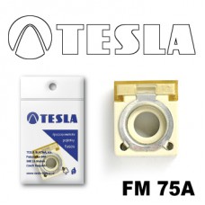 FM 75А предохранитель TESLA, MAIN (battery clamp)