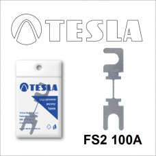 FS2 100А предохранитель TESLA, STRIP