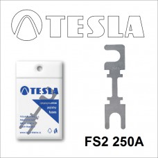 FS2 250А предохранитель TESLA, STRIP