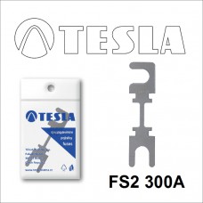 FS2 300А предохранитель TESLA, STRIP