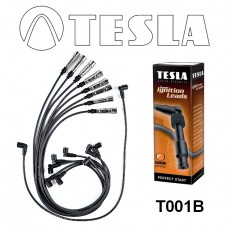T001B провода зажигания TESLA