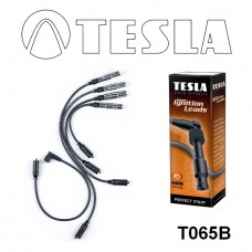 T065B провода зажигания TESLA