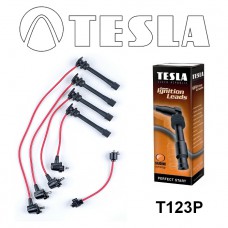 T123P провода зажигания TESLA