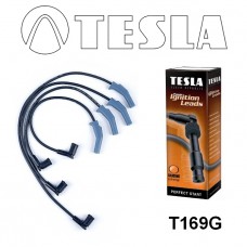 T169G провода зажигания TESLA