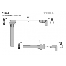 T189B провода зажигания TESLA