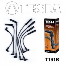 T191B провода зажигания TESLA