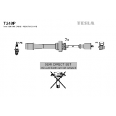 T248P провода зажигания TESLA