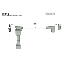 T531B провода зажигания TESLA