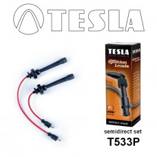 T533P провода зажигания TESLA
