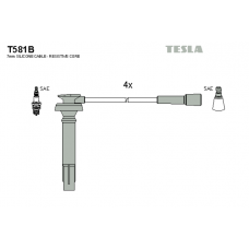 T581B провода зажигания TESLA