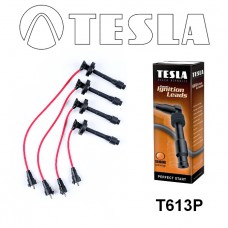 T613P провода зажигания TESLA