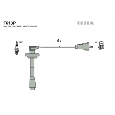 T613P провода зажигания TESLA