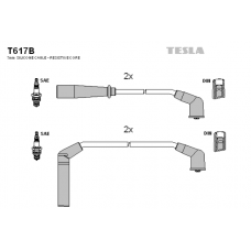 T617B провода зажигания TESLA