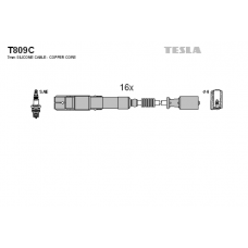 T809C провода зажигания TESLA