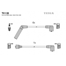 T813B провода зажигания TESLA