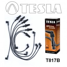 T817B провода зажигания TESLA