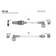 T817B провода зажигания TESLA